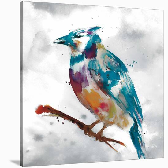 Blue Jay-Stephane Fontaine-Stretched Canvas