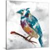 Blue Jay-Stephane Fontaine-Stretched Canvas