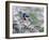 Blue Jay-Adam Jones-Framed Premium Photographic Print