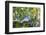 Blue Jay-Gary Carter-Framed Photographic Print