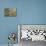 Blue Jay-Gary Carter-Mounted Photographic Print displayed on a wall