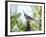 Blue Jay-Gary Carter-Framed Photographic Print