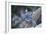 Blue Jay-Gary Carter-Framed Photographic Print