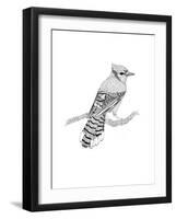 Blue Jay-The Tangled Peacock-Framed Giclee Print