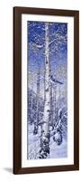 Blue Jay-Jeff Tift-Framed Premium Giclee Print