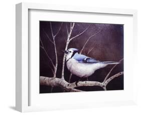 Blue Jay-Kevin Dodds-Framed Giclee Print