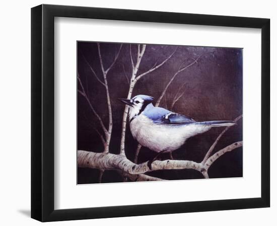 Blue Jay-Kevin Dodds-Framed Premium Giclee Print