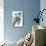 Blue Jay-John James Audubon-Mounted Art Print displayed on a wall