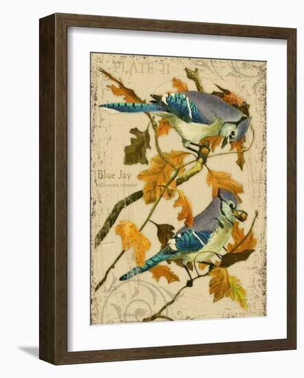 Blue Jay-Kate Ward Thacker-Framed Giclee Print