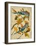 Blue Jay-Kate Ward Thacker-Framed Giclee Print