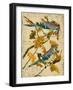 Blue Jay-Kate Ward Thacker-Framed Giclee Print