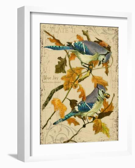 Blue Jay-Kate Ward Thacker-Framed Giclee Print