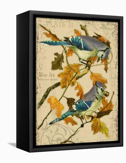 Blue Jay-Kate Ward Thacker-Framed Stretched Canvas