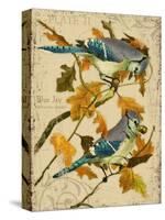 Blue Jay-Kate Ward Thacker-Stretched Canvas