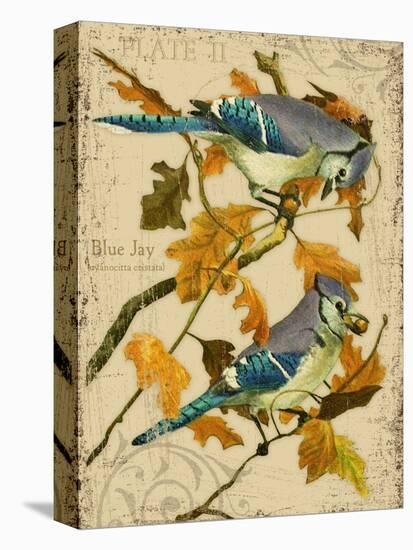 Blue Jay-Kate Ward Thacker-Stretched Canvas