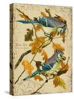 Blue Jay-Kate Ward Thacker-Stretched Canvas