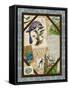 Blue Jay-Kate Ward Thacker-Framed Stretched Canvas