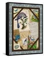 Blue Jay-Kate Ward Thacker-Framed Stretched Canvas