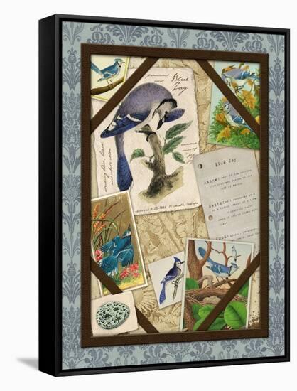 Blue Jay-Kate Ward Thacker-Framed Stretched Canvas