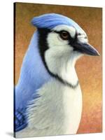 Blue Jay-James W. Johnson-Stretched Canvas