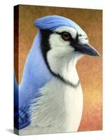 Blue Jay-James W. Johnson-Stretched Canvas