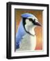 Blue Jay-James W. Johnson-Framed Giclee Print