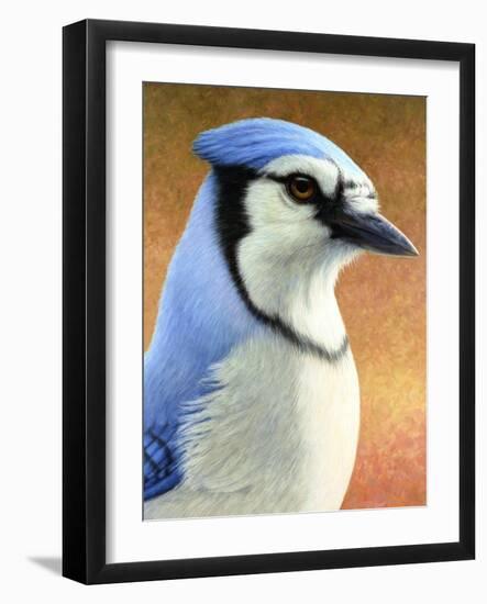 Blue Jay-James W. Johnson-Framed Giclee Print