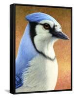 Blue Jay-James W. Johnson-Framed Stretched Canvas