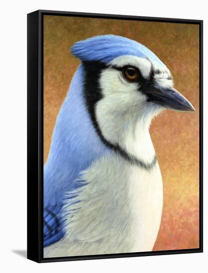 Blue Jay-James W. Johnson-Framed Stretched Canvas