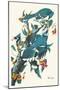 Blue Jay-John James Audubon-Mounted Art Print