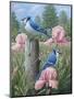 Blue Jays-Robert Wavra-Mounted Giclee Print