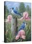 Blue Jays-Robert Wavra-Stretched Canvas