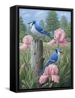 Blue Jays-Robert Wavra-Framed Stretched Canvas