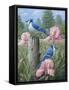Blue Jays-Robert Wavra-Framed Stretched Canvas