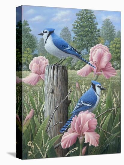 Blue Jays-Robert Wavra-Stretched Canvas