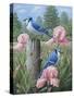 Blue Jays-Robert Wavra-Stretched Canvas