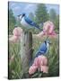 Blue Jays-Robert Wavra-Stretched Canvas