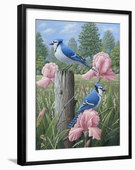 Blue Jays-Robert Wavra-Framed Premium Giclee Print