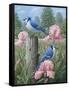 Blue Jays-Robert Wavra-Framed Stretched Canvas