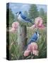 Blue Jays-Robert Wavra-Stretched Canvas