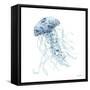 Blue Jelly Fish-Patti Bishop-Framed Stretched Canvas