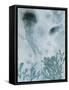 Blue Jellyfish I-Ken Roko-Framed Stretched Canvas