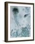 Blue Jellyfish I-Ken Roko-Framed Art Print