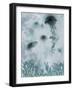 Blue Jellyfish II-Ken Roko-Framed Art Print