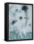 Blue Jellyfish II-Ken Roko-Framed Stretched Canvas