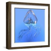 Blue Jellyfish Illustration-Stocktrek Images-Framed Art Print