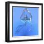 Blue Jellyfish Illustration-Stocktrek Images-Framed Art Print