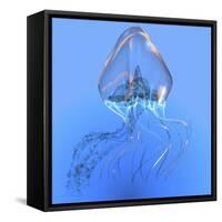 Blue Jellyfish Illustration-Stocktrek Images-Framed Stretched Canvas