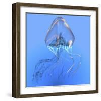 Blue Jellyfish Illustration-Stocktrek Images-Framed Art Print