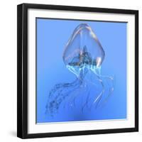 Blue Jellyfish Illustration-Stocktrek Images-Framed Art Print